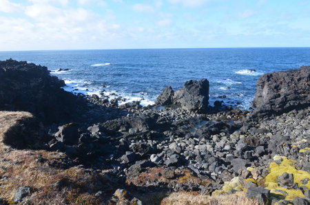 Scenic black lava rock beach in coastal Iceland.の写真素材
