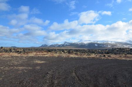 Summer with snow capped mountains in Iceland.