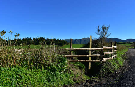 Dirt hiking trail beside a field on the Azores.
