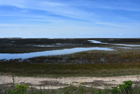 Beautiful scenic views of tidal flats along Cape Cod.