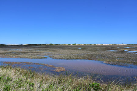 Beautiful view of tidal flats along Cape Cod.