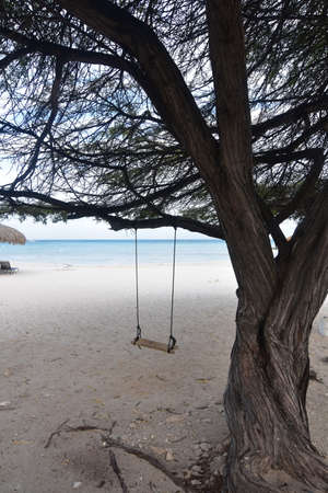 Stunning beach with a swing in Aruba