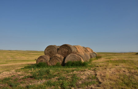 Amazing scenic rural landscape with bales of hay rolled and stacked.