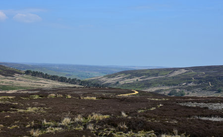 Stunning rural boggy moors as far as the eyes can see.の写真素材