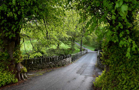 Stunning view of Patterdale Bridge through the trees in England.の写真素材