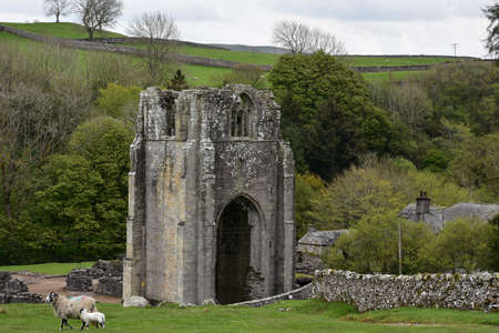 Old cloister stone ruins and monastery in the English countryside.の写真素材