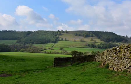 Gorgeous grass pastures, rolling hills and farmland in England.