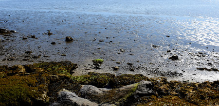 Mud flats along the coastline at low tide in Massachusetts.の写真素材