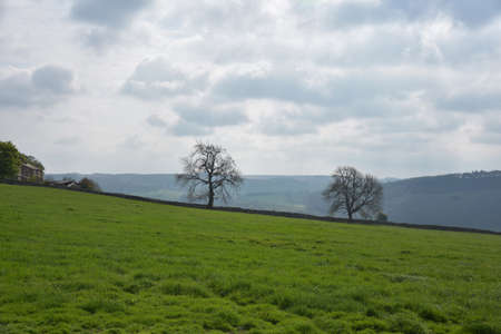 Scraggly trees silhouetted against very cloudy skies in rural England.