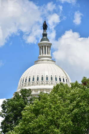 Beautiful view of the Capitol Building on Washington DCs Capitol Hill in the summer.