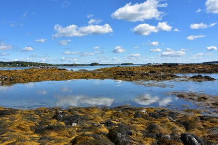Bay ocean waters with fluffy white clouds reflecting in the water.の写真素材