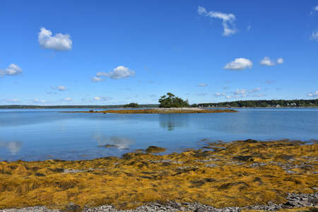 Beautiful scenic view of Little French Island in coastal Maine.の写真素材