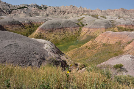Beautiful yellow mounds in the rural badlands of South Dakota.の写真素材
