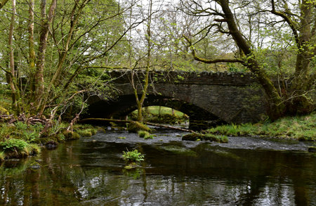 Stone bridge arched over a river in a wooded grove of trees.