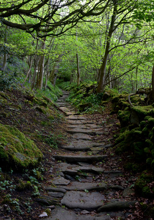 Winding stone hiking trail known as the nun steps in England.