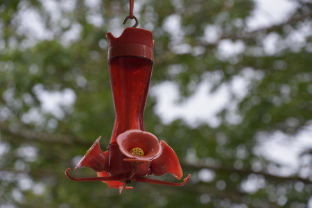 Hummingbird feeder waiting for hummingbirds to drink the sugar water.の写真素材