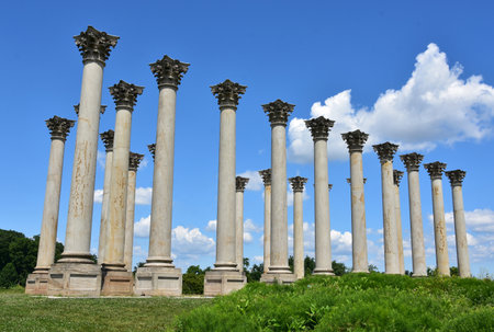 Fantastic arrangement of concrete pillars on a beautiful spring day.