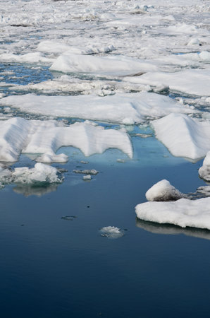 Frozen iceberg and glacial melt in summer in Southern Iceland.