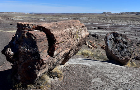 Beautiful views of the painted desert and Petrified Forest.の写真素材