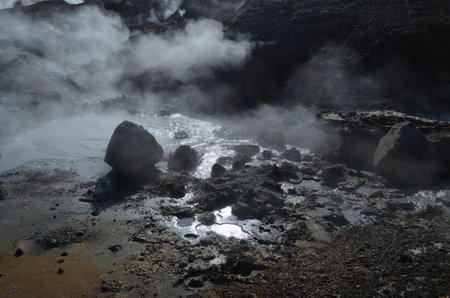 Steam rising from hot mud due to a lot of geothermal activity.