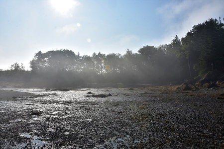 Low tide with a muddy beach and a fog hovering over the island.