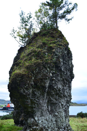 Large Fingals Dogstone at Dunollie Castle in Oban Scotland.