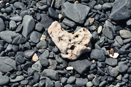 Beautiful porous natural heart shaped coral on a bed of stones.