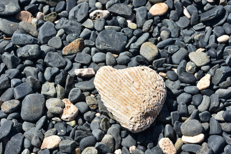 Stone beach with white natural heart shaped piece of coral.