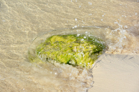 Algae covered rock with splashing shallow waters over it.