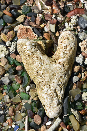 Beautiful heart shaped coral on a beach filled with sea glass nuggets.の写真素材