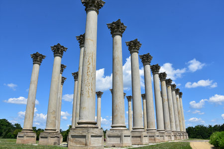 Fancy stone architectural pillars from the old Capitol building.