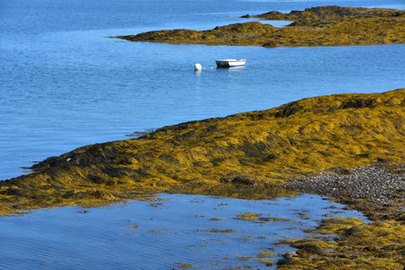 Summer seascape with a small boat anchored in shallow ocean waters.