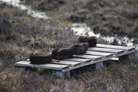 Drying and stacking peat bricks on a palette on the bogs.の写真素材