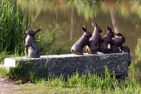 Arts - A Group of 6 playing Rabbits on the Banks of the GÃ¶ta canal in Swedenのeditorial素材