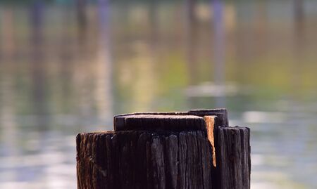 Old stump Beside the pond Nature backgroundの写真素材