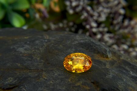 Yellow gem Beautiful on the wooden floorの写真素材