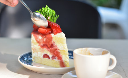 Strawberry Cheesecake Cakeの写真素材