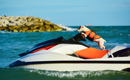 boat, sea, water, ocean, blue, sport, fun, speed, jetskiの写真素材