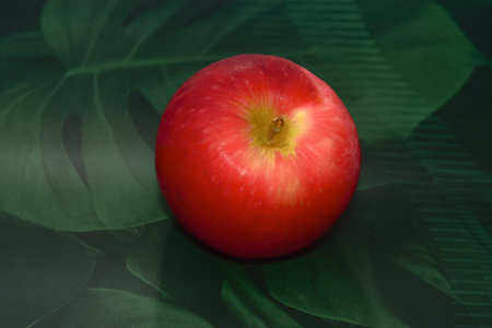 Fresh apples lying on the floor