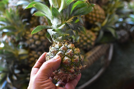 Close-up photography of hands holding fruitの写真素材