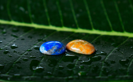 jewelry opal Is a gem that has beautiful colors Rare and expensiveの素材