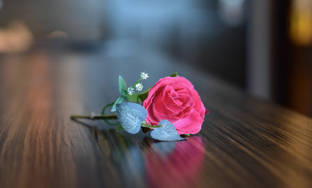 rose flower lying on the floorの写真素材