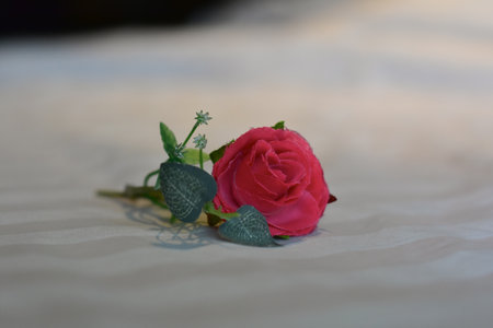 rose flower lying on the floorの写真素材