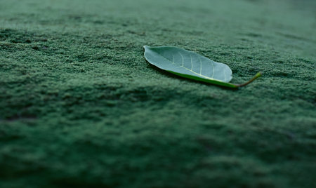 For making background images leaves and green background