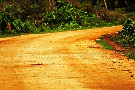A curvy dirt road  at a cloudy day going through a forest,Arunachal Pradeshの写真素材