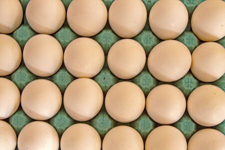 close up view of Chicken eggs in carton box 