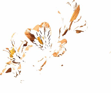 illustration of a flower ready to printのイラスト素材