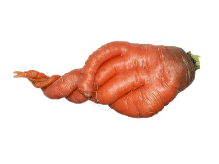 One carrot on a white background is depicted with a sense of humorの写真素材