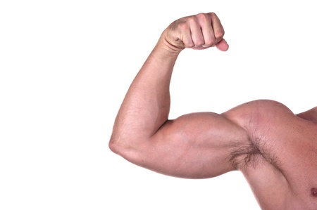 bodybuilder biceps isolated on white background