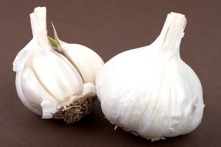 Garlic bulbs with roots and skinの写真素材